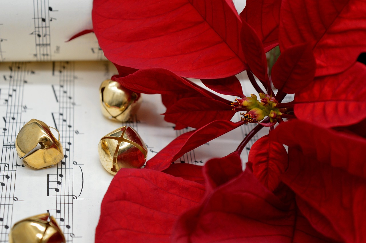 Jingle Bells Flower Grades Sheet Free photo on Pixabay Pixabay