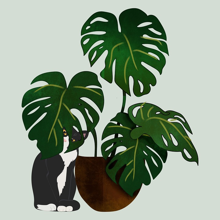 Download Monstera Cat Pet Royalty Free Stock Illustration Image download-monstera-cat-pet-royalty-free-stock-illustration-image
