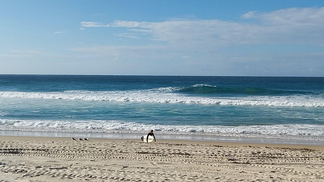 Free Surfer Surfboard photo and picture