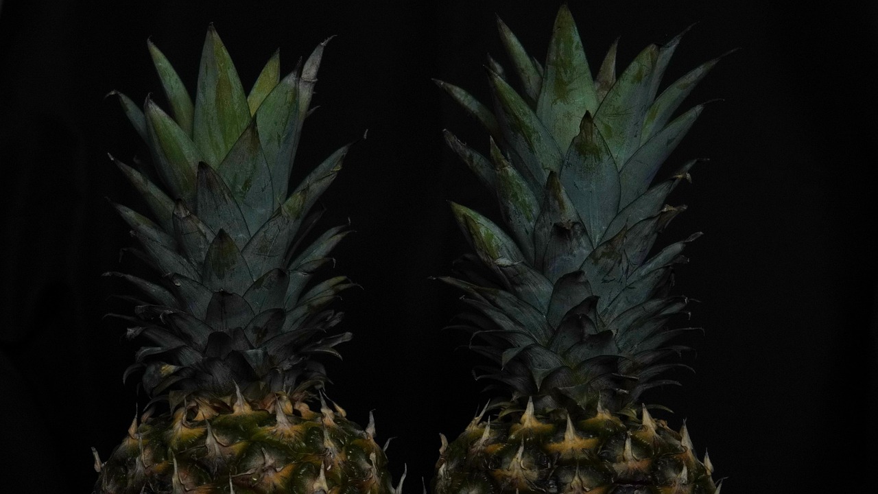 Pineapples - free online jigsaw puzzle photo