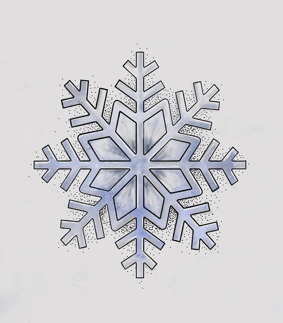 雪花, 冬天, 雪, 霜