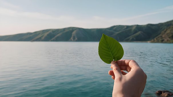 Ai Generované, List, Jezero, Příroda