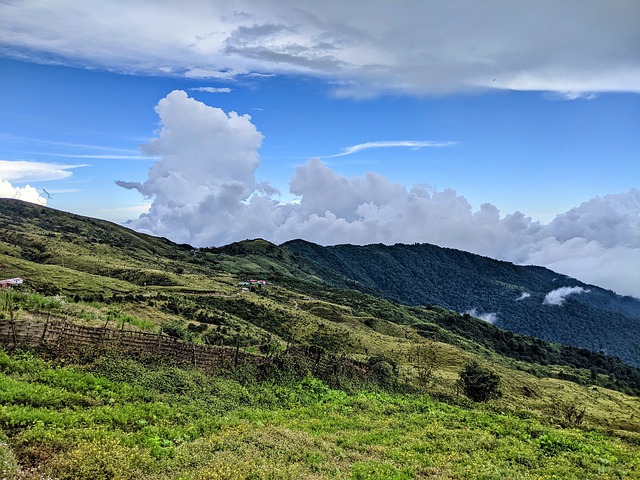 Weide, Wolken, Lucht, Landschap