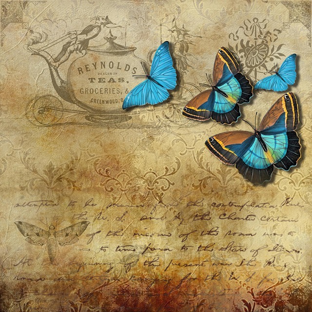 Free butterfly paper insects illustration
