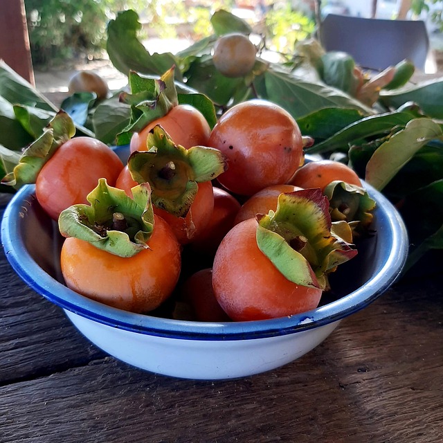 Free Kaki Fruit photo and picture