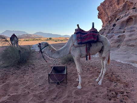 Free Jordan Desert photo and picture