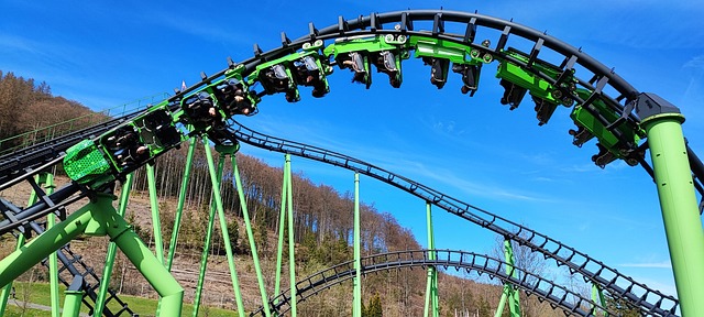 Free Roller Coaster Speedsnake photo and picture