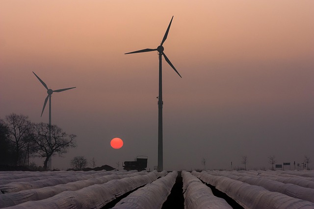 Windräder, Sonnenuntergang, Dämmerung