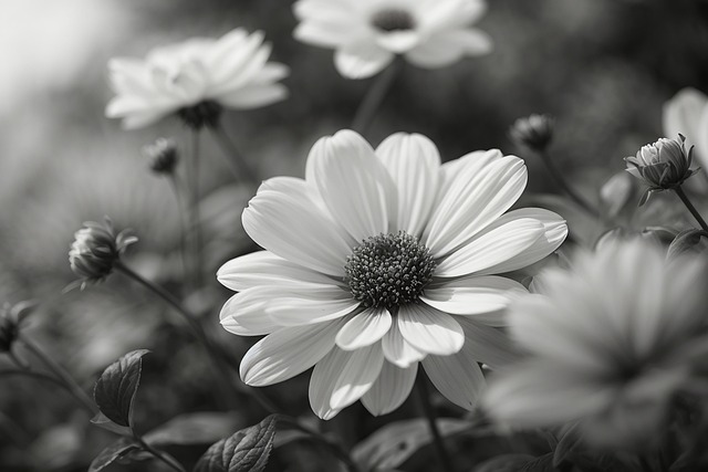 Free Ai Generated Flowers illustration and picture