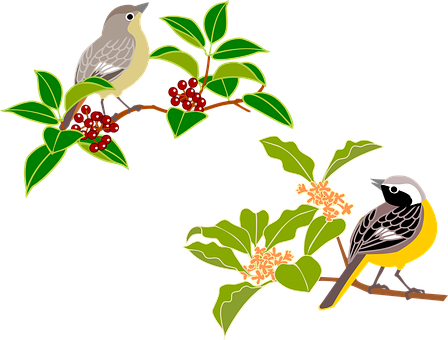 Free Daurian Redstart Bird vector and picture