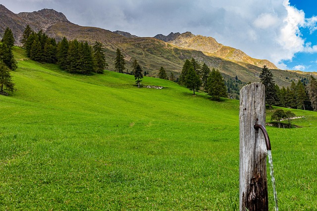 Otoño, Ambiental, Exterior, Verde