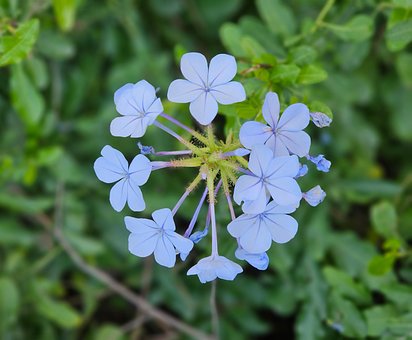 Free Blue Circle photo and picture
