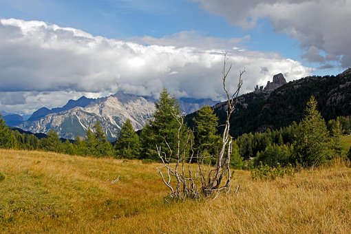 Free Mountains Alps photo and picture