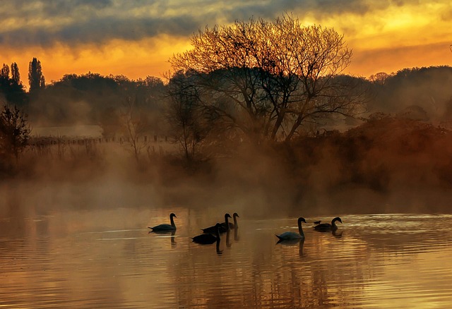 Sonnenaufgang, Dämmerung, Natur