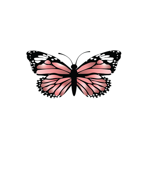 Mariposa, Insecto, Alas, Polinización