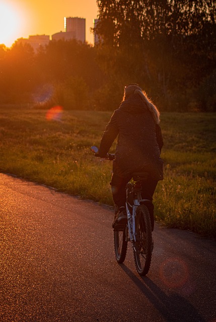 Pôr Do Sol, Autum, Natureza, Bicicleta