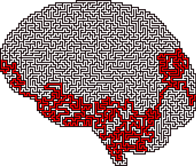 Free brain maze puzzle vector