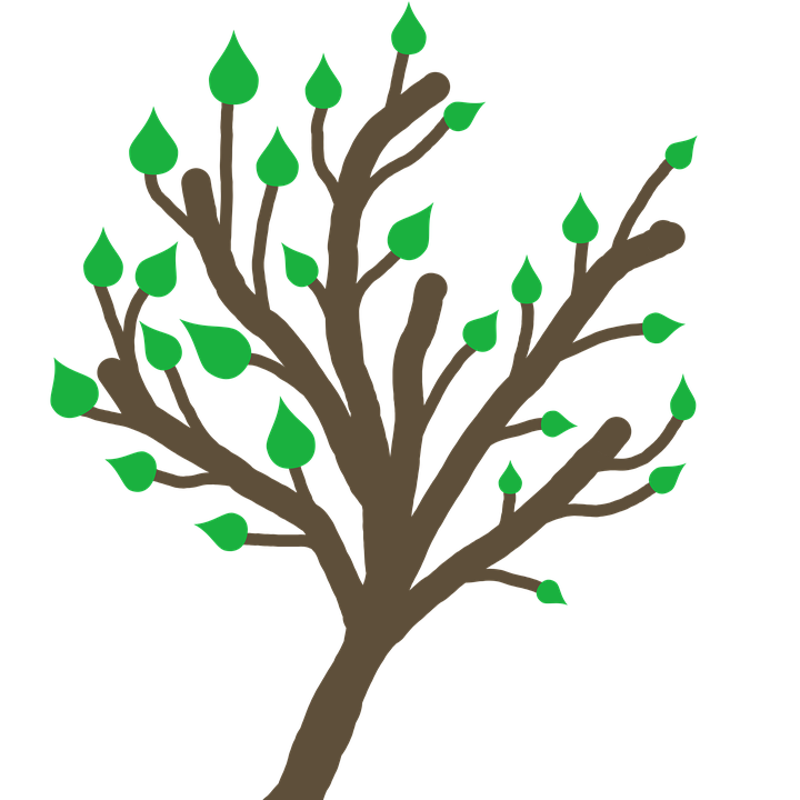 Træ Grene Blade - Gratis billeder på Pixabay