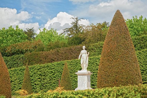 Park, Garten, Versailles, Baum, Busch