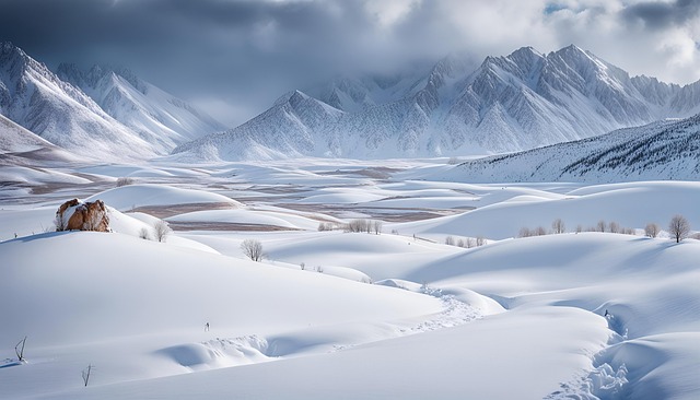 Free winter mountains snowy illustration