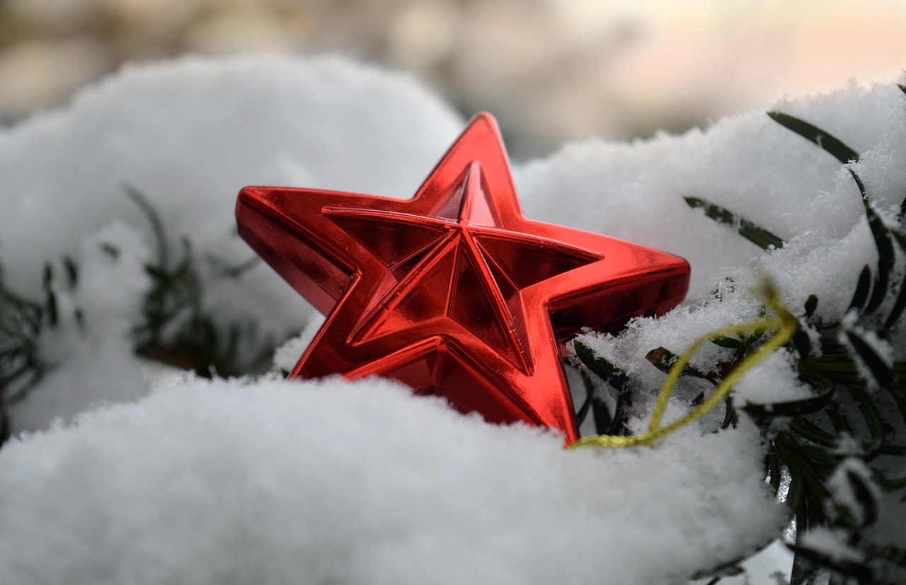 Poinsettia - free online jigsaw puzzle photo