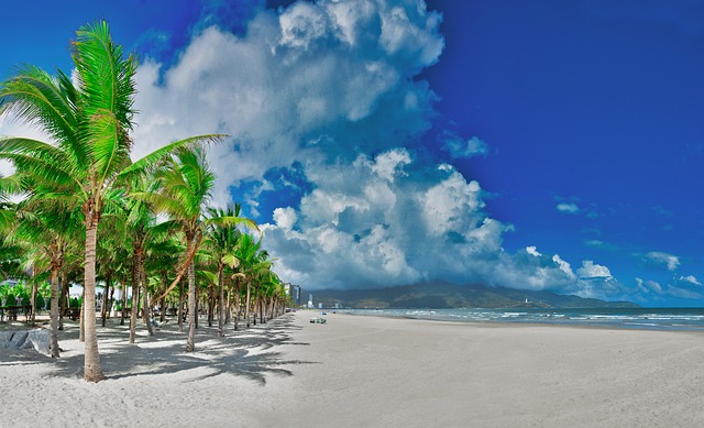 Free Da Nang Vietnam photo and picture