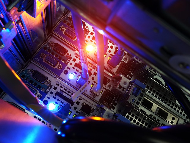 Free Network Connection photo and picture