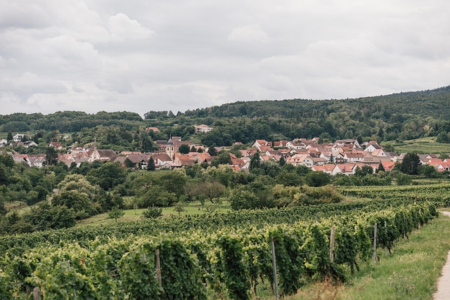 Vila, Alemão, Vinho, Vale, Verde