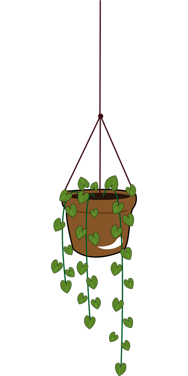 Plamt Image Vector Download Plant, Potted Plant, Minimalist. Royalty-Free Vector Graphic ...