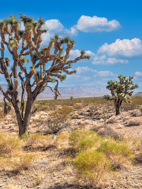 Lucht, Natuur, Nevada, Woestijn
