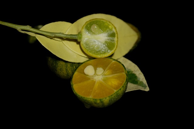 Free Raju-Reddy-Photography photo and picture