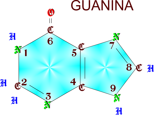 Guanin, Dna, Dusíková Báze, Molekula