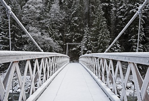 Free Bridge Suspension Bridge photo and picture