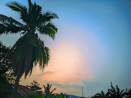 Baggrund, Bali, Strand, Smuk, Skønhed