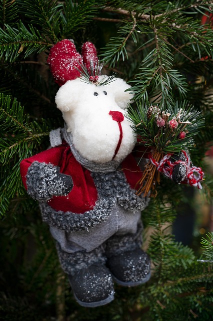 Free Stuffed Toy Snow photo and picture