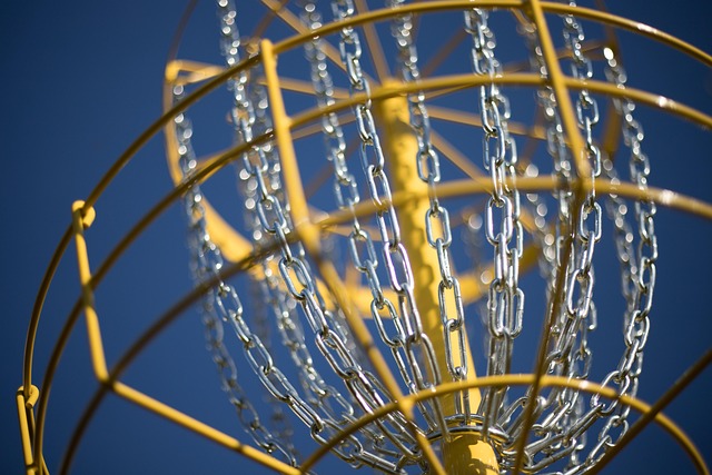 Sport, Disc Golf, Kurv, Frisbee
