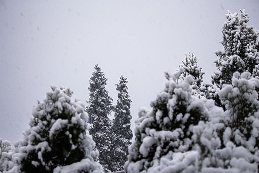 Snø, Trær, Vinter, Himmel, Natur, Skyer