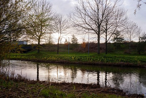 Dam, Vand, Træer, By, Grøn, Sollys