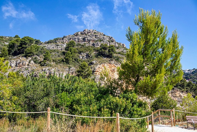 Montaña, Naturaleza, Playa