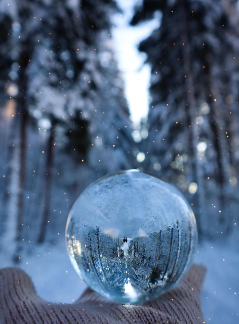 Winter Snow Christmas - Free photo on Pixabay - Pixabay