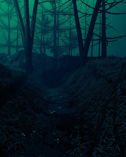ป่า, 3D, เรนเดอร์, ภาพยนตร์