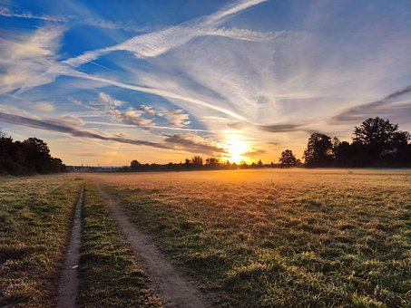 Dresden, Morning, Sonnenaufgang, Wiese