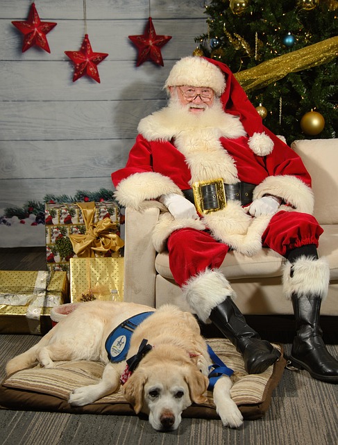 Weihnachtsmann, Klaus, Hund, Kostüm