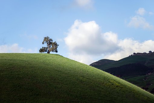 Free Hill Meadow photo and picture