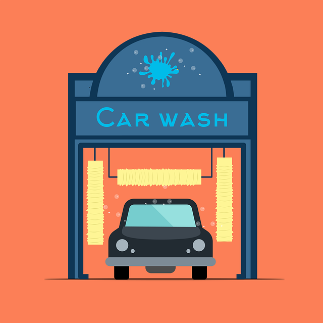 Free car wash service cartoon vector