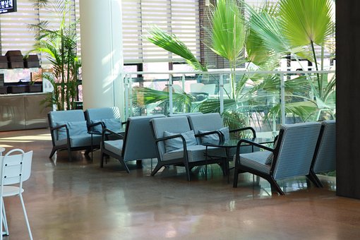 Stol, Sofa, Træ