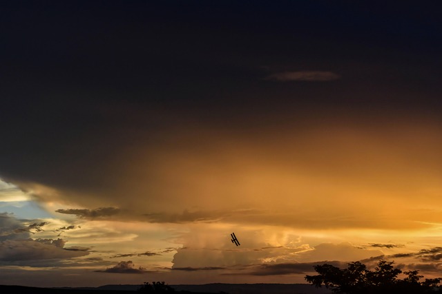 Free Plane Sunset photo and picture