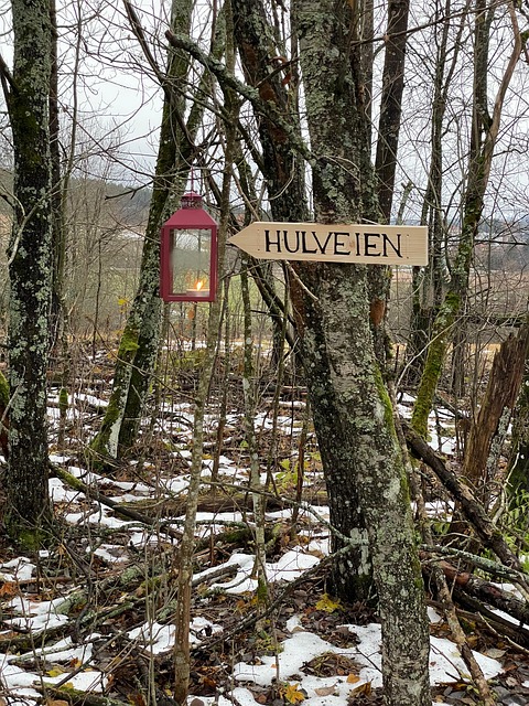 Free Way Forest photo and picture