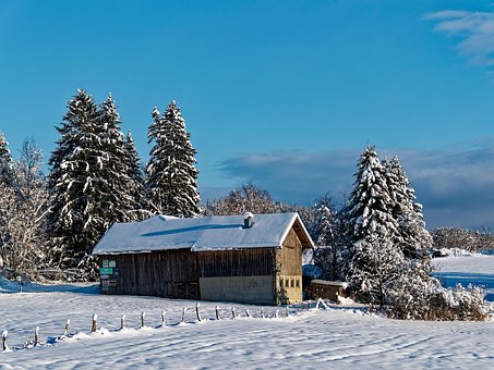 Invierno, Nieve, Granero, Árboles