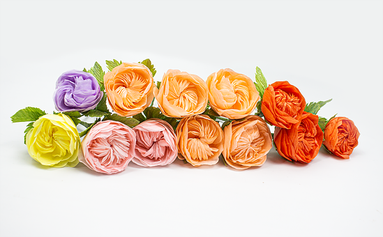 Juliet Rose, David Austin, Rose